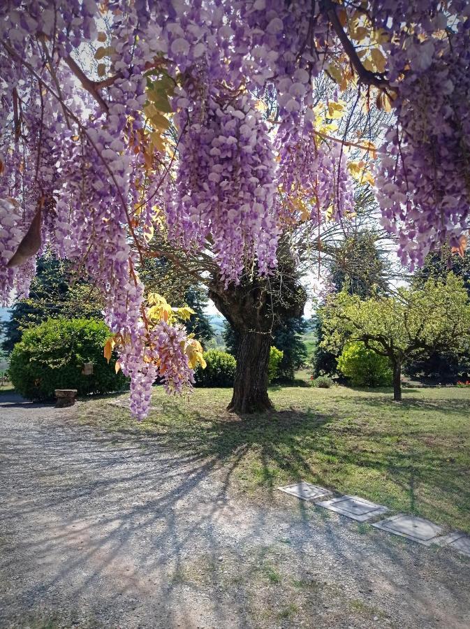 Villa La Palazzina Agazzano Exterior photo
