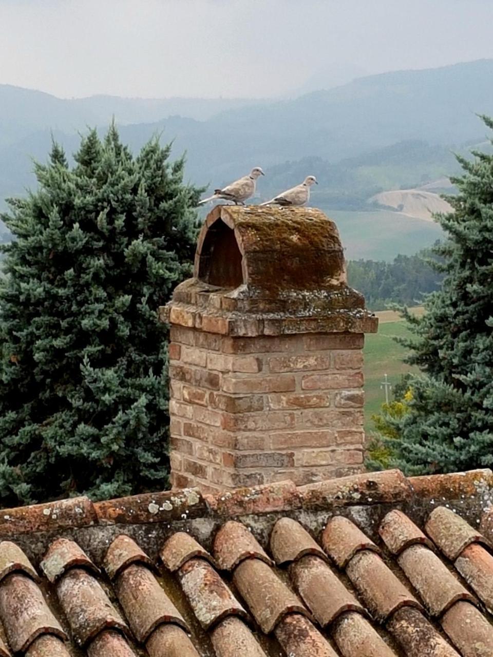Villa La Palazzina Agazzano Exterior photo