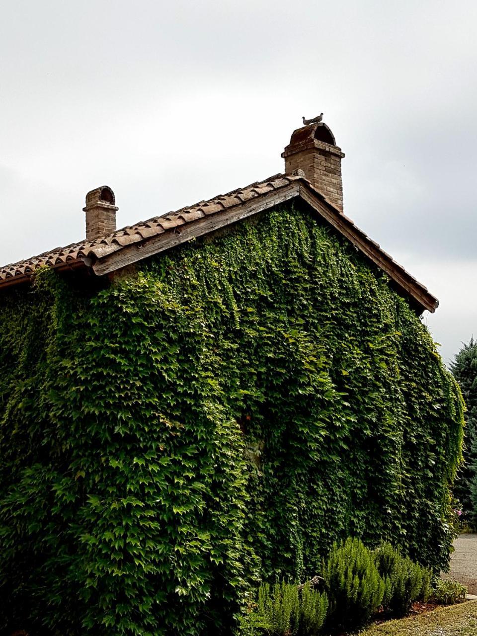 Villa La Palazzina Agazzano Exterior photo